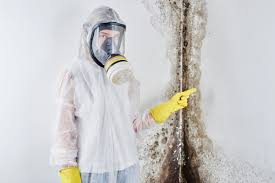 Best Asbestos and Lead Testing During Mold Inspection  in Franklin, OH